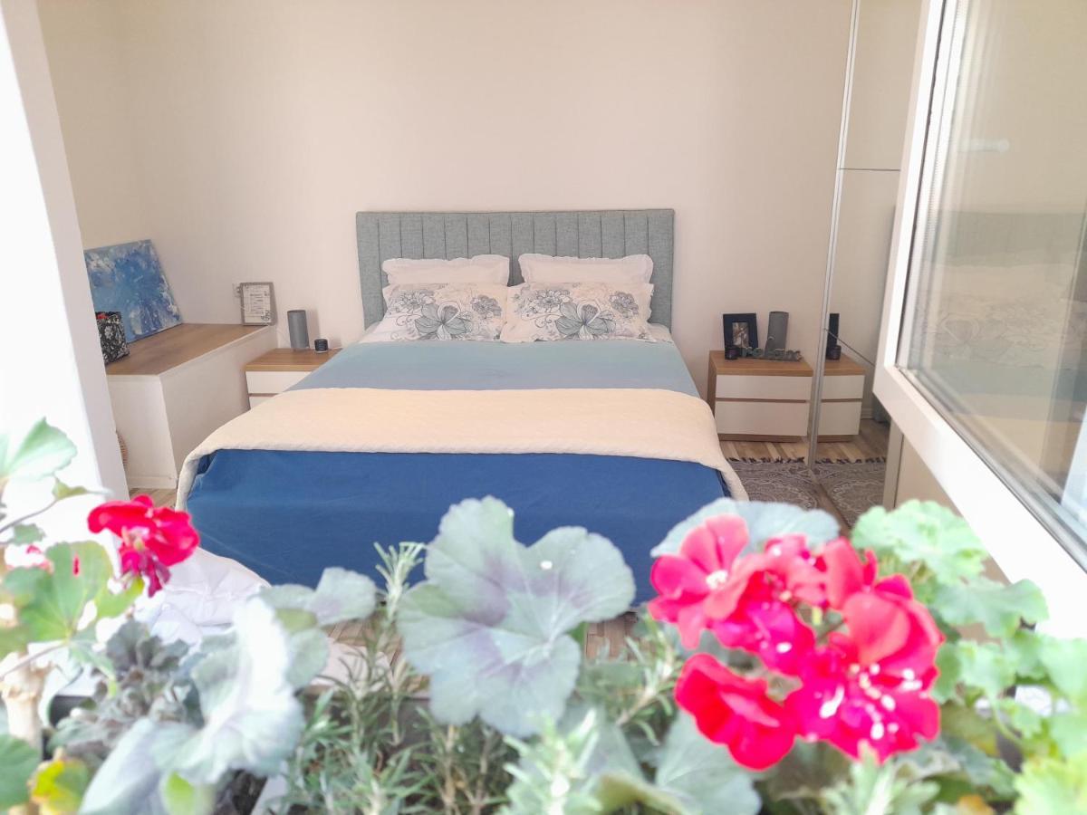 Nautica Free Parking Apartment Šibenik Екстериор снимка